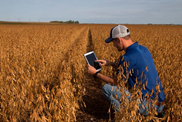 Farmers with ipad in field