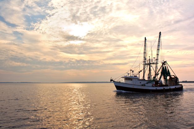 Fishing boat