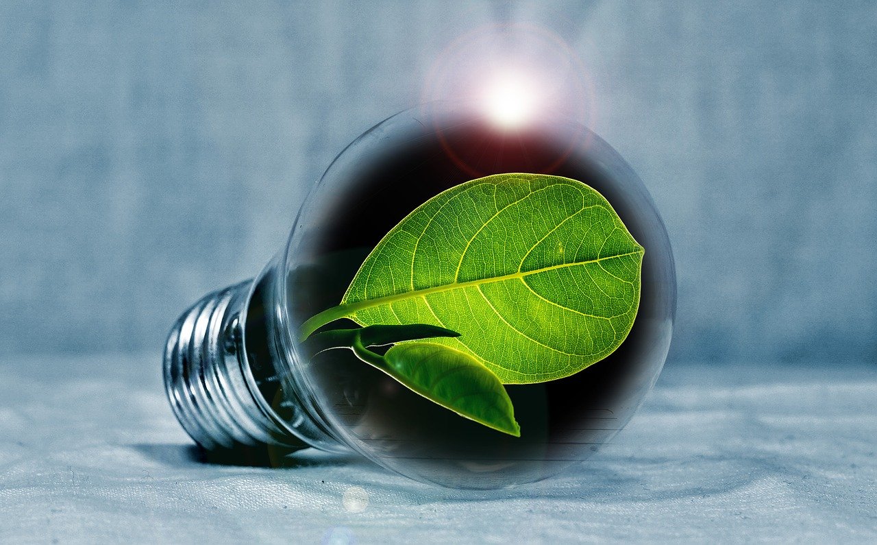 Light bulb with leaf courtesy of Pixabay 