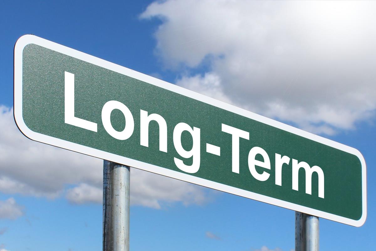 The Struggles With Long termism Investor s Champion